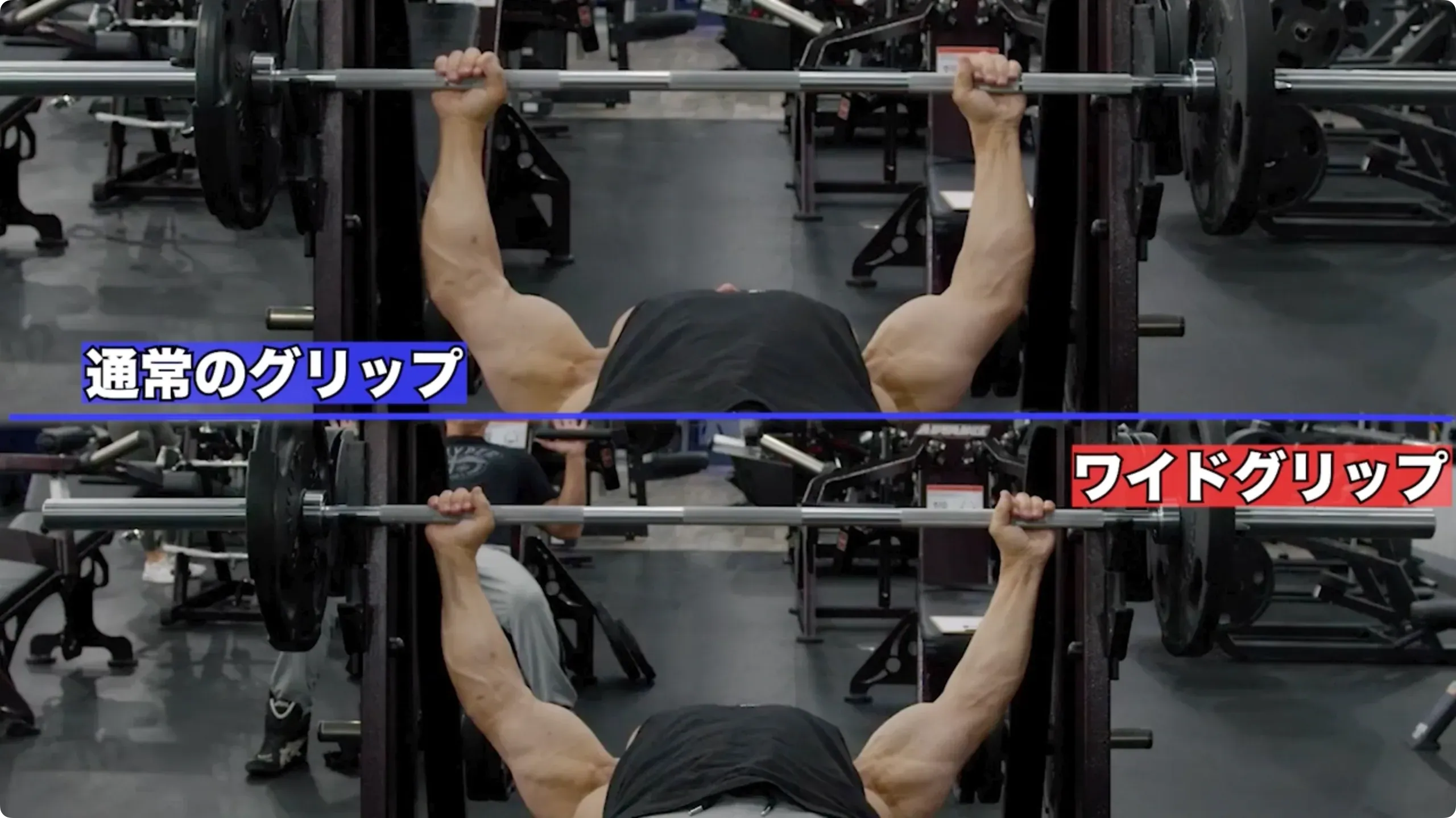 動画講座】筋トレ徹底解説シリーズ 大胸筋トレーニング51種目