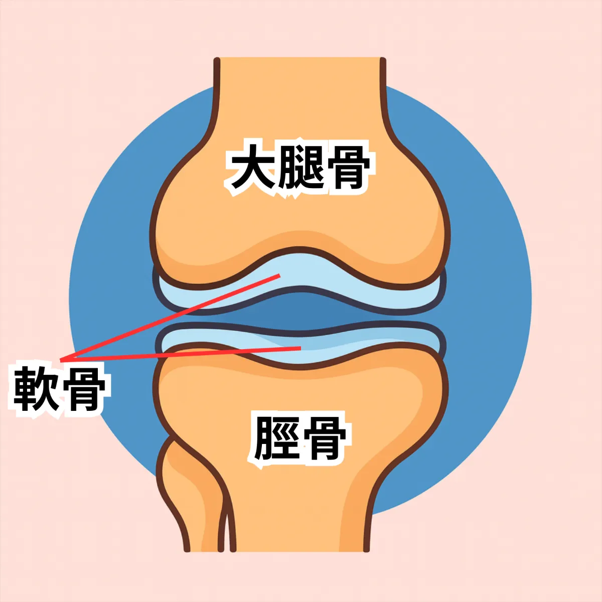 膝 軟骨 を 増やす 方法