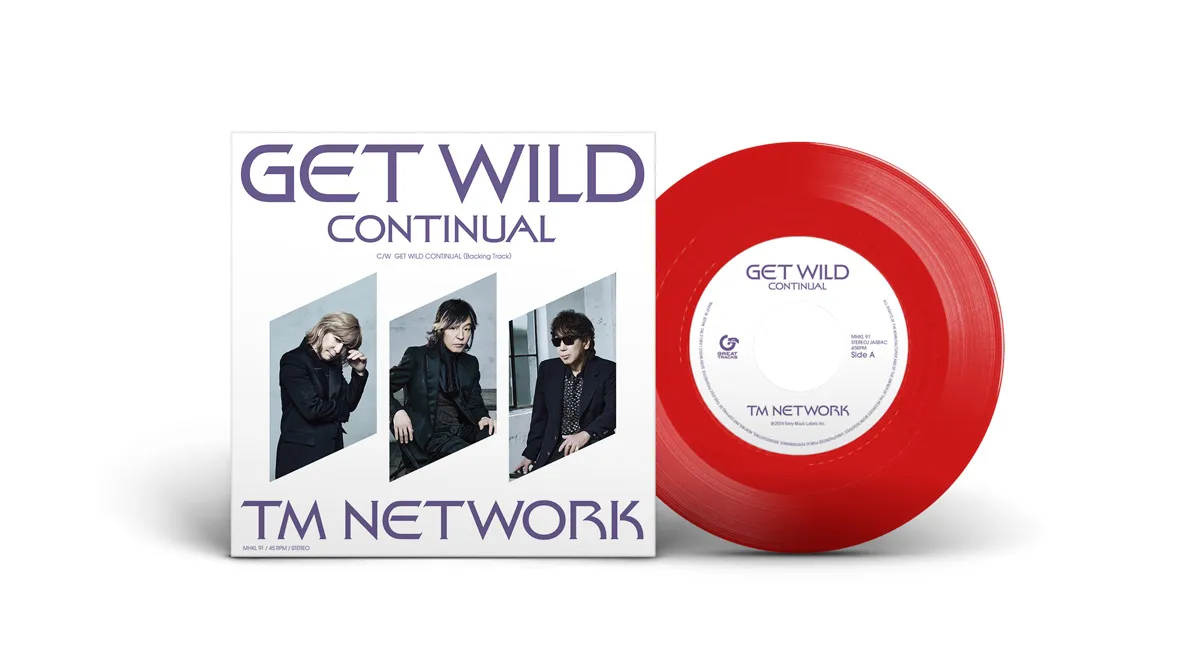 TMNETWORK GETWILD Continual 缶バッジ TMNETWORK GETWILD Continual 缶バッジ - メルカリ
