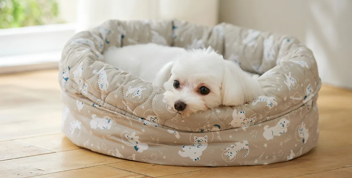 犬　ペット　ベッド　優☆　ハンドメイド hyp23543.jpg