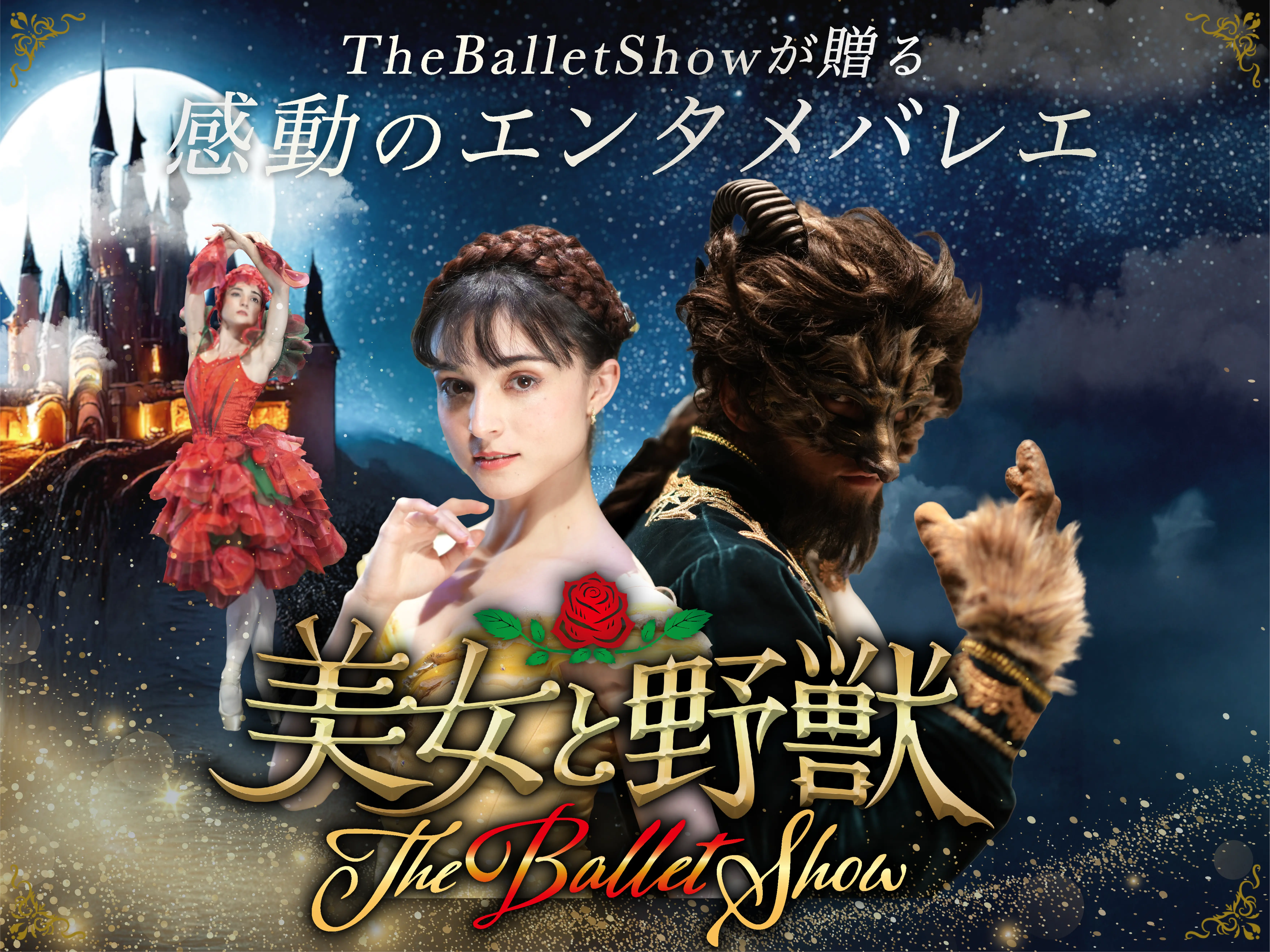 ●専用● ヤマカイ　The Ballet Show 　DVD＋パンフレットセット 美品】 ヤマカイ アラジン バレエ DVD パンフレット - メルカリ