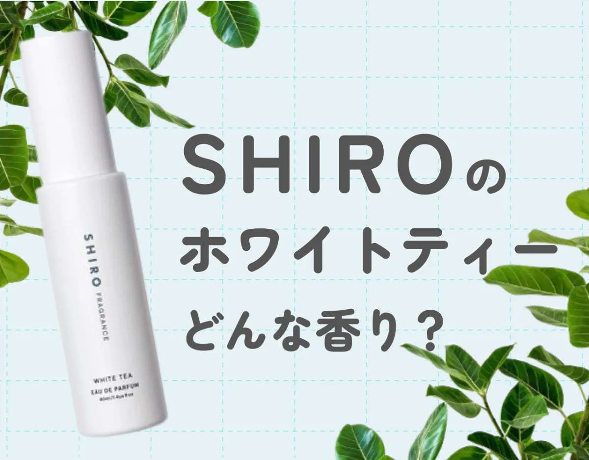 SHIRO（シロ）のホワイトティーってどんな香り？｜清潔感あふれる清楚