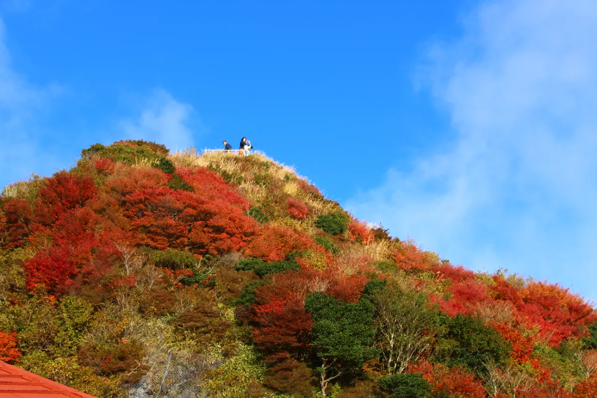 山採り 山もみじ 雲仙仁田峠 シーズン秋の紅葉を歩く