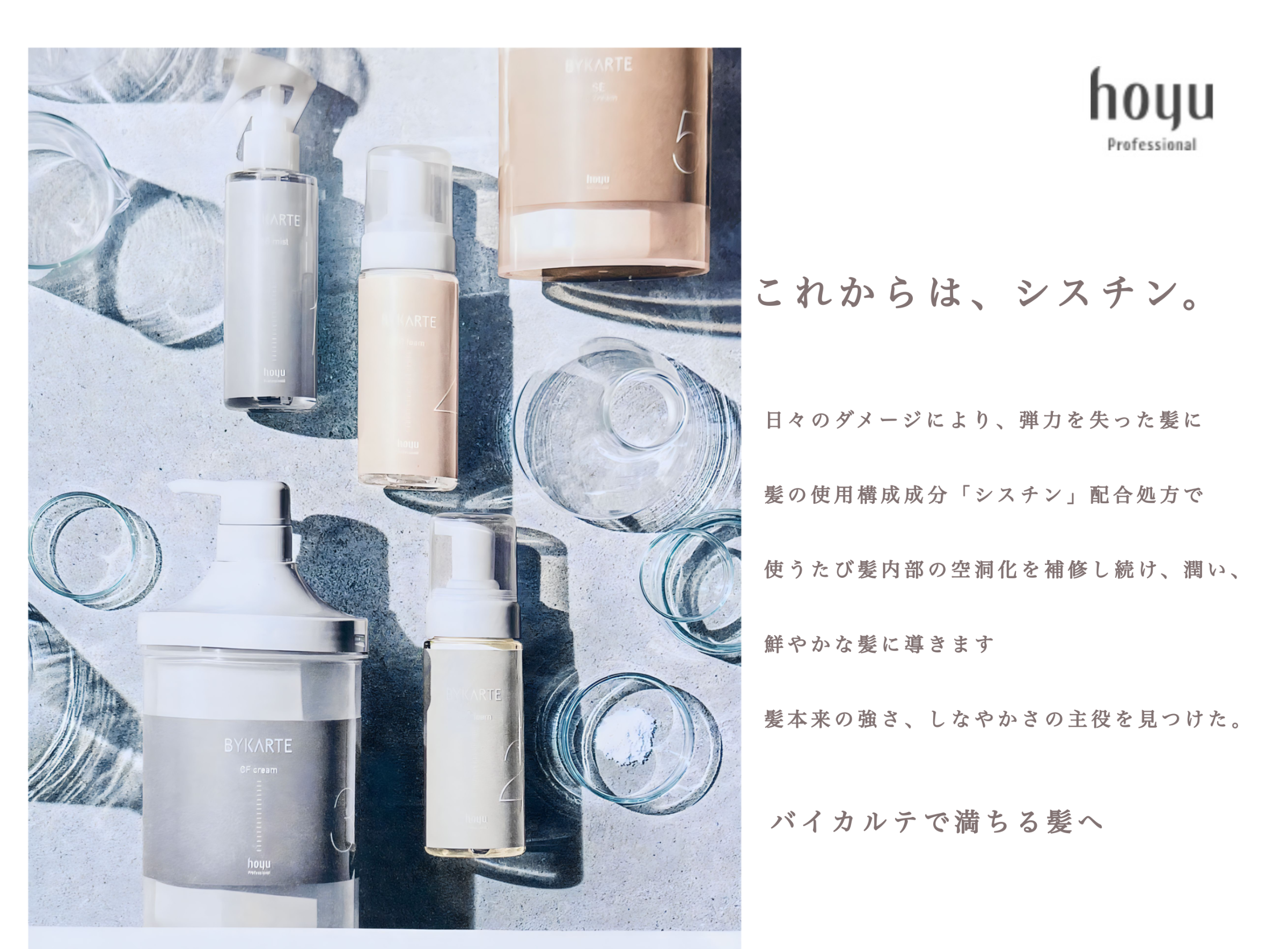 BYKALTE バイカルテ Amazon | ホーユー BAYKARTE バイカルテ セラムトリートメント