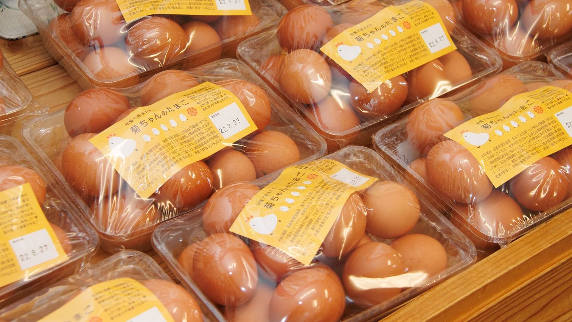 ガショスタ☆」鹿児島の魅力を世界へ！｜エフエム鹿児島