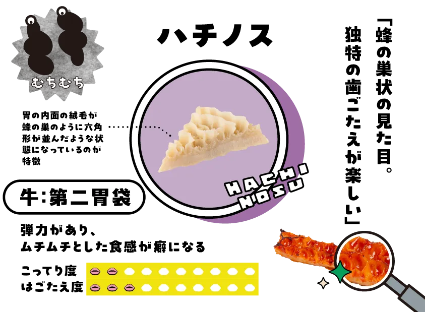 蜂の巣　ハチノス ハチノス｜ホルモン図鑑｜とにかく口の中がおもしろいのだ！