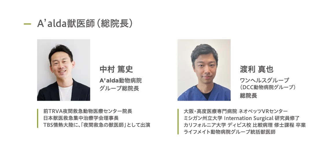 JAHA国際セミナー　第133回　臨床薬理学　DVD　動物病院　動物医療 楽天市場】【中古】 中古DVD-R3枚組 軟部外科 第133回JAHA国際