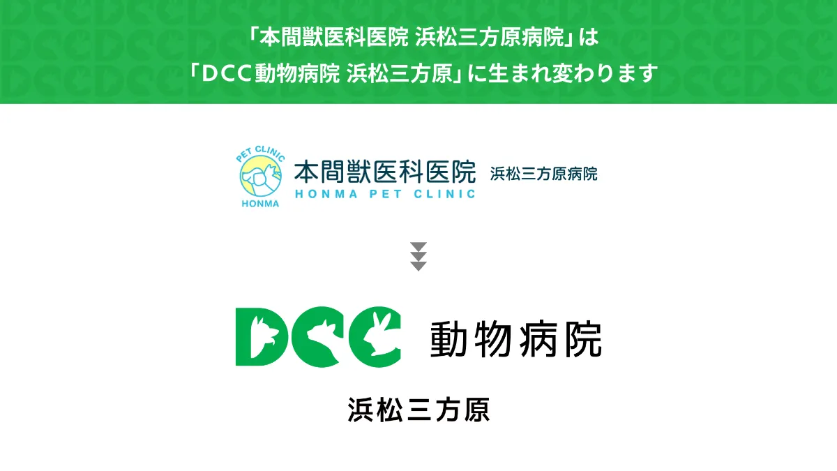 DCC動物病院のリニューアル第一号店決定のお知らせ | A'ALDA LTD.