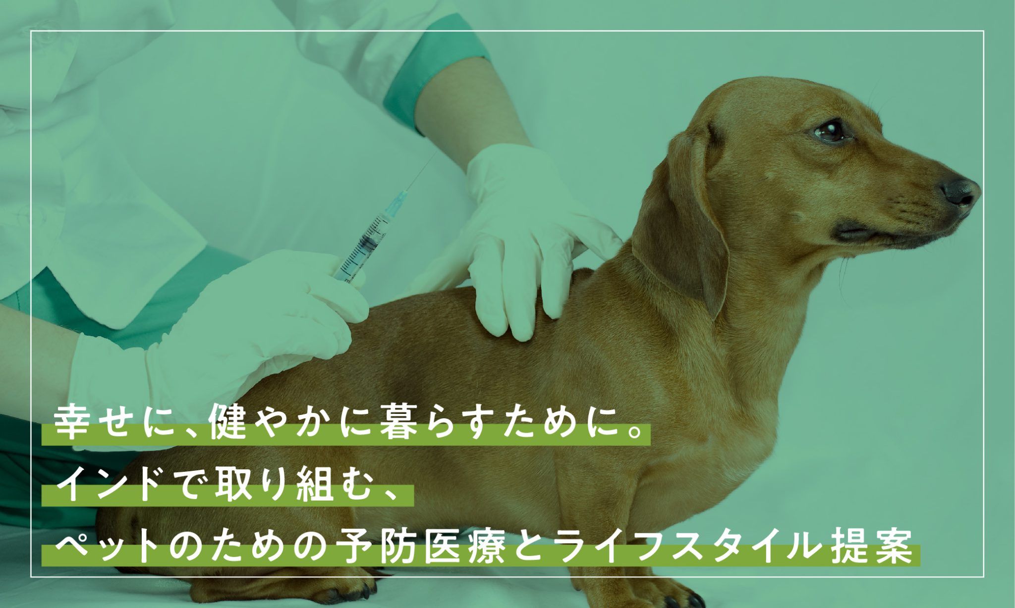 インドの動物医療の現在と、A'aldaが取り組む動物病院のDX | A