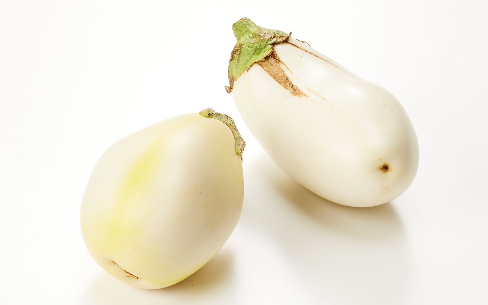 ここがポイント！ 個性豊かな野菜たちを紹介 ズッキーニ・ナス編