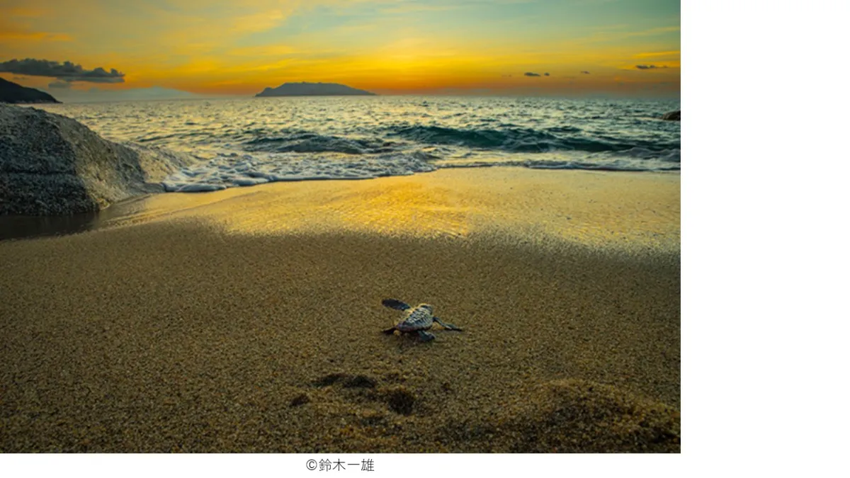 鈴木一雄写真展「－にっぽん列島－ いのちの聲」 ｜写真弘社