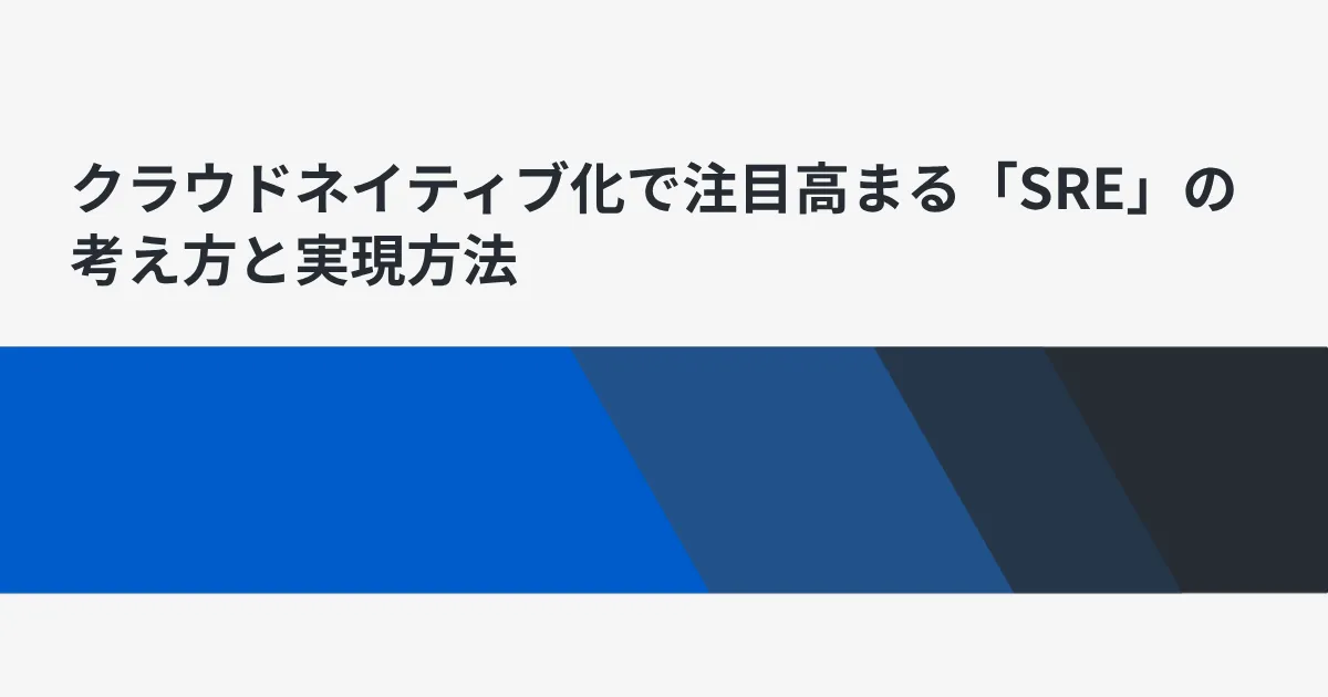 運行規程　学生訓練実施要領　SR22(値下げ交渉可能) 運行規程 学生訓練実施要領 SR22(値下げ交渉可能)