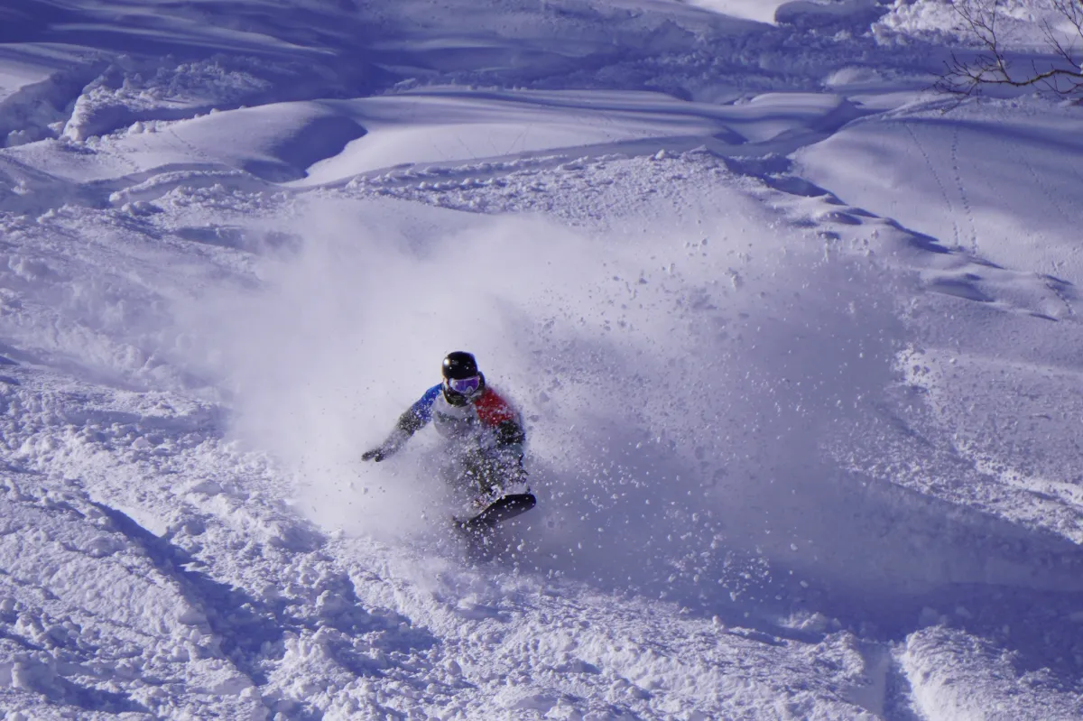 POWDER FREERIDE 2025 最高のパウダースノーで開催！
