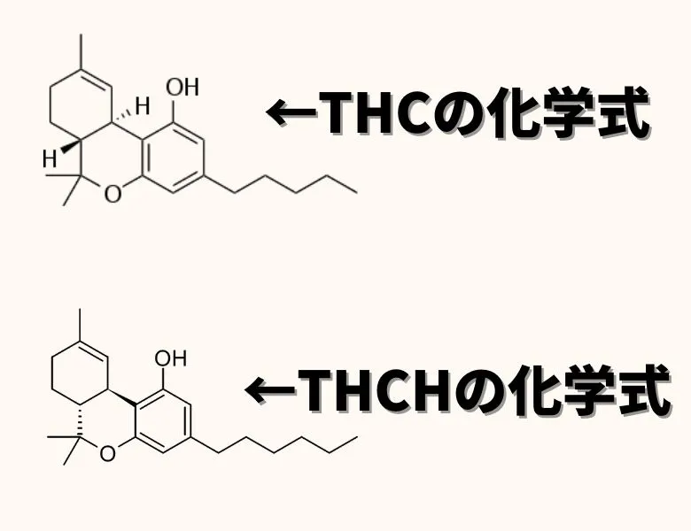 TOPICS | C&H株式会社