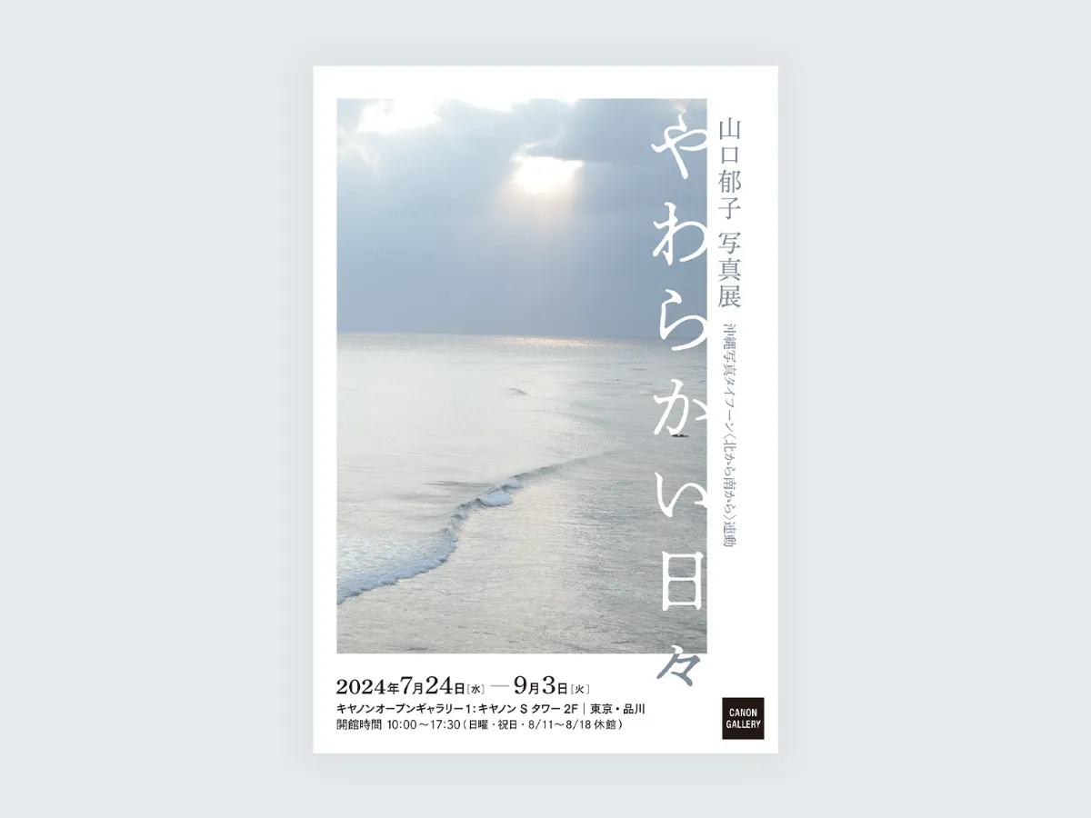 沖縄　写真集 沖縄県写真協会40周年記念会員作品集 Okinawa