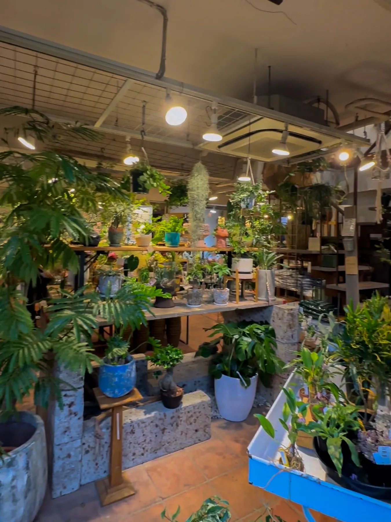 buriki no zyoro 自由が丘
