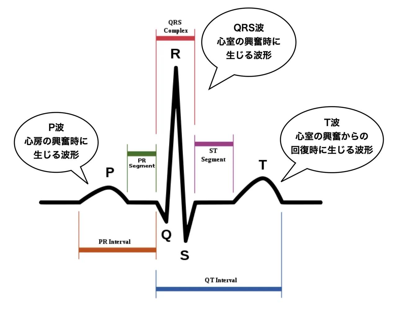 図説 直立動態と心身症状 人の立つしくみに内在する病因の発見と臨床応用 図説 直立動態と心身症状 人の立つしくみに内在する病因の発見と