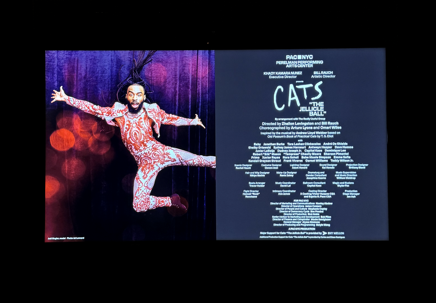 Cats 