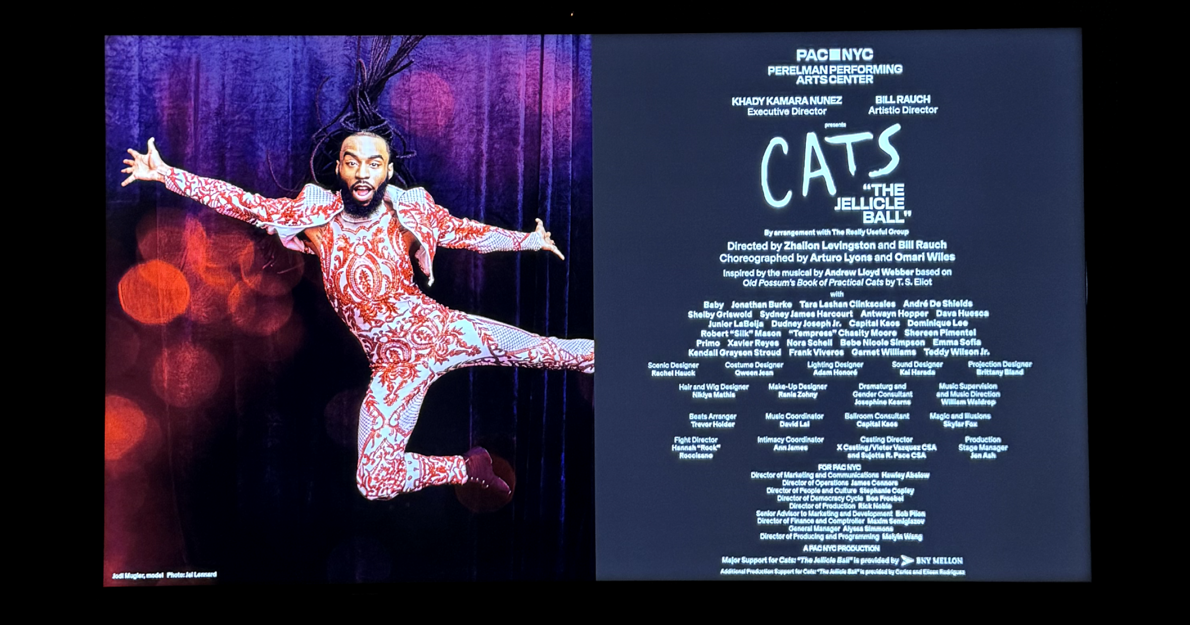 Cats 