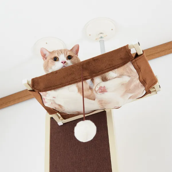 大幅値下げ　キャットウォーク 8.jpg?v=1743493037&width=1024