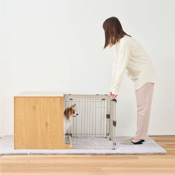 オーダー受付　お留守番わんこ　4/10 オーダー受付 お留守番わんこ 4/10