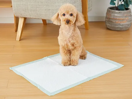 しつけるシーツW消臭neo ワイド 30枚入り -株式会社ボンビアルコン