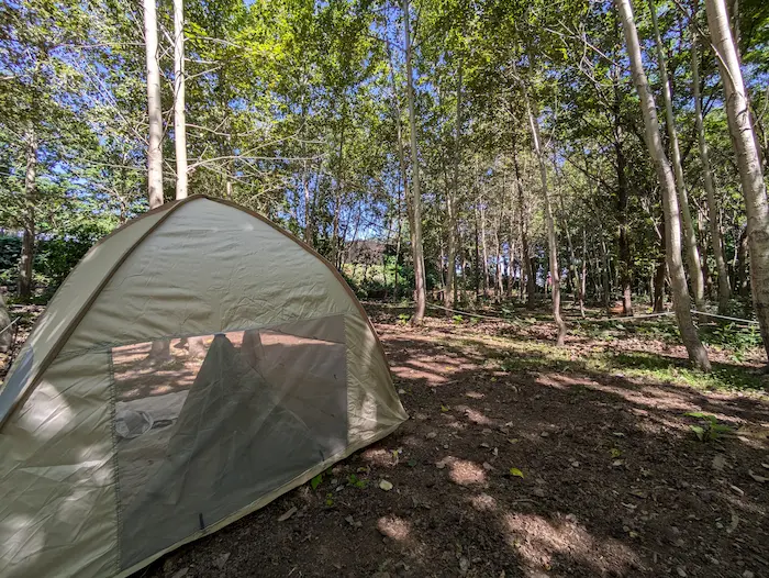 札幌 キャンプ場 コモレビヨリ
