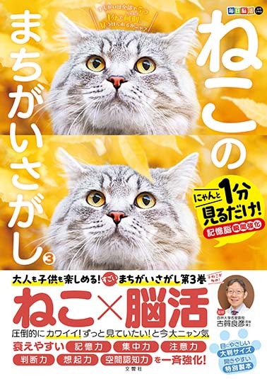 文響社 公式】毎日脳活スペシャル ねこのまちがいさがし3