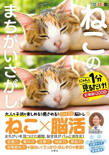 文響社 公式】毎日脳活スペシャル ねこのまちがいさがし5