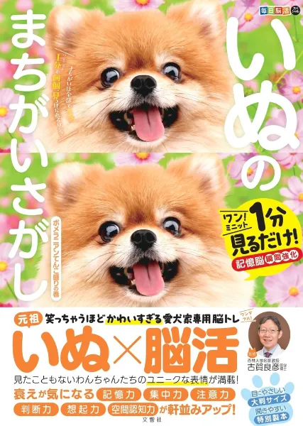 文響社 公式】毎日脳活スペシャル いぬのまちがいさがし ポメラニアン