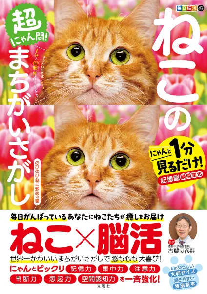ねこのまちがいさがし」シリーズの書籍・本 | うんこドリルや健康書が