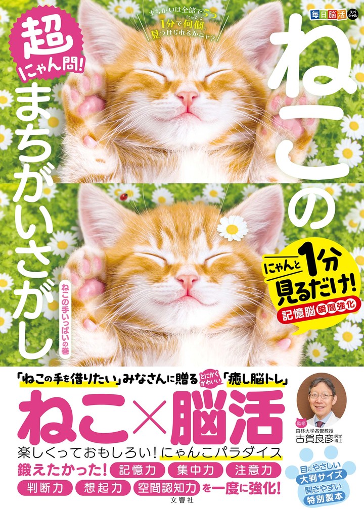 猫騙/Megalomania 帯付き Megalomania 猫騙 - メルカリ