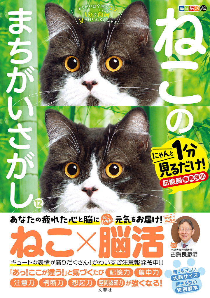 文響社 公式】毎日脳活スペシャル ねこのまちがいさがし12