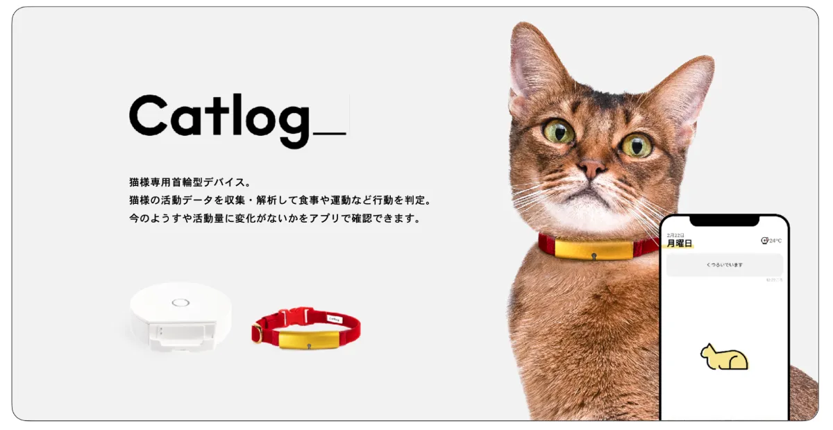 PetTechにおけるデザイナーの役割。【ヘルスケア×デザイン