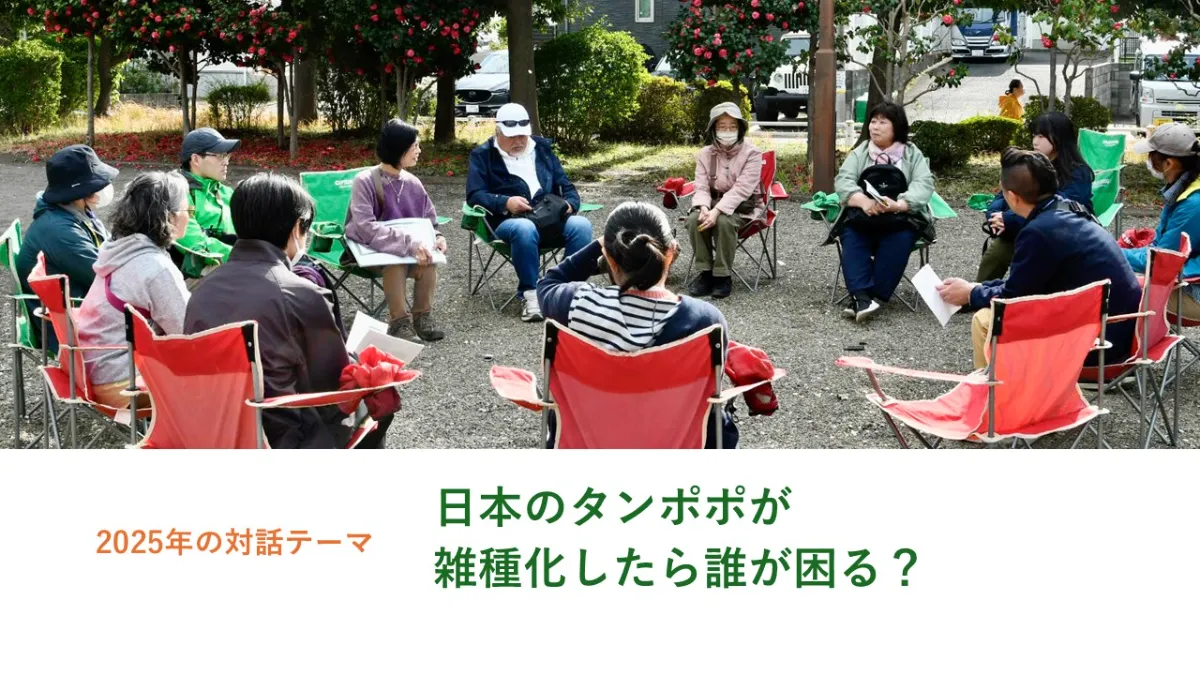 実施レポート：たんぽぽ観察会2025