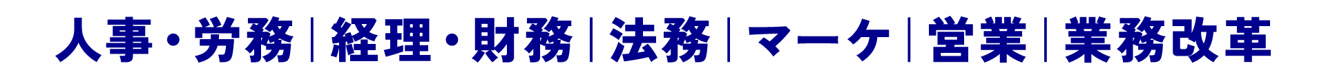 人事・労務｜経理・財務｜法務｜マーケティング｜営業｜業務改革 ‥など
