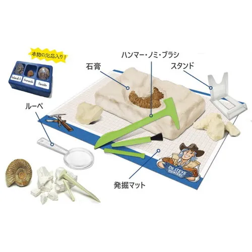 株式会社ヤマサン/PRIME3Dアンモナイト