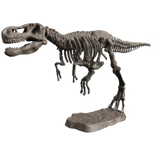 T-REX骨格フルスケルトン組み立てキット 恐竜 Amazon.co.jp: 恐竜スケルトンモデルキットティラノサウルス