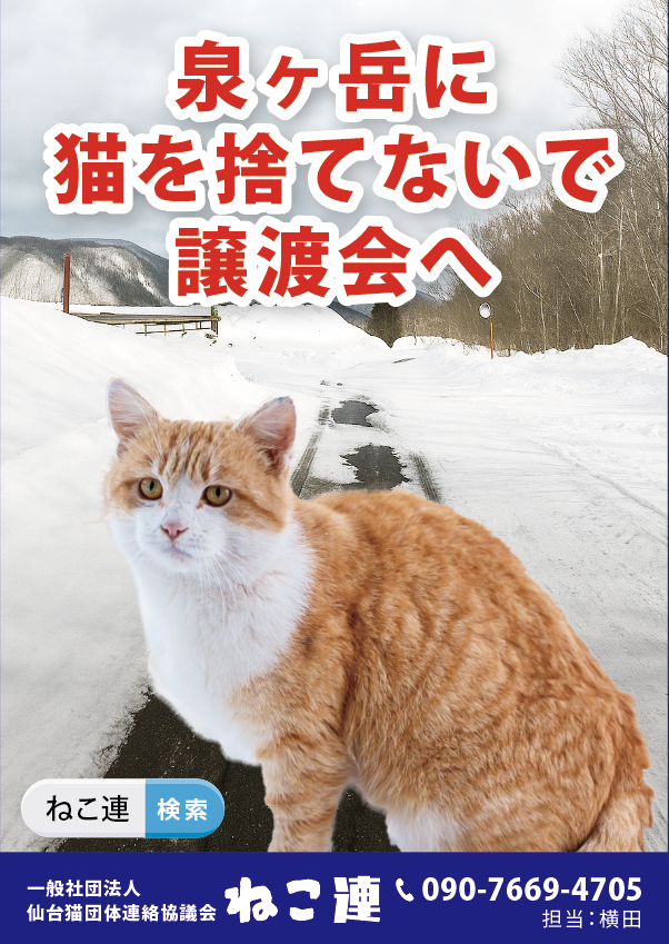 ねこ連 | 新着情報 | 「猫を捨てないで」というポスターを作成しました！