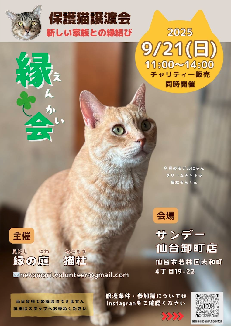 ねこ連 | 新着情報 | 2025年9月21日（日） 保護猫譲渡会「縁会」開催