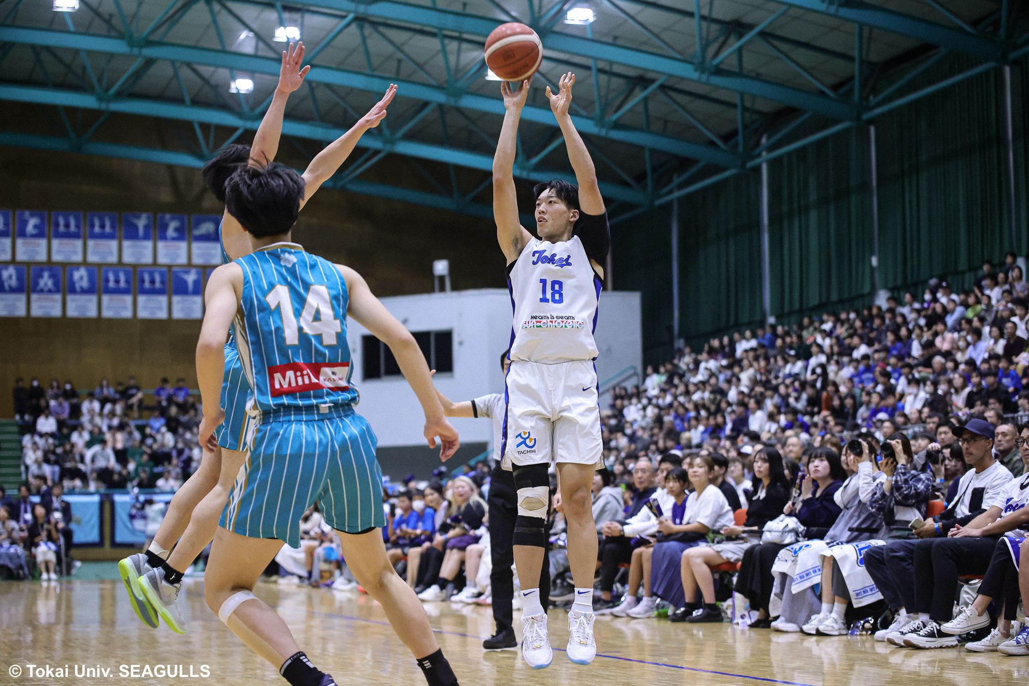 東海大学 男子バスケットボール部