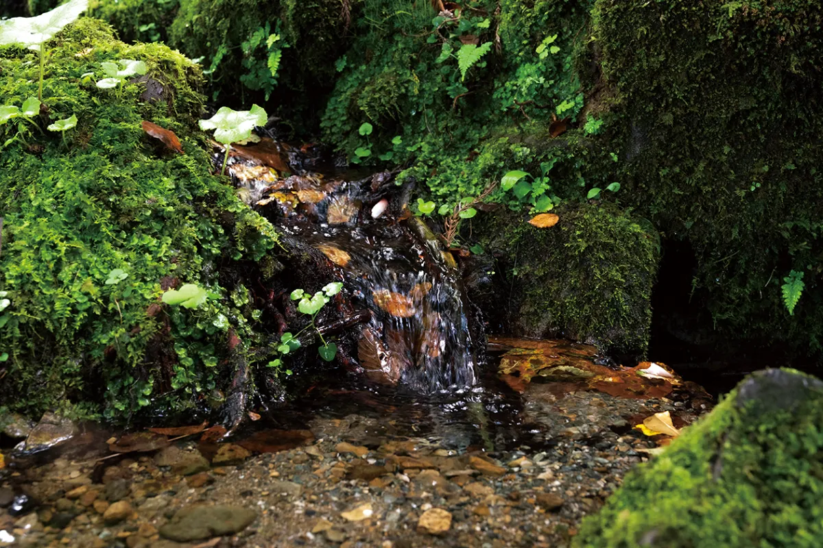 新潟県南魚沼市　水無川産　八海石　うぶ石　抜けがあります　台ありません 新潟県南魚沼市 水無川産 八海石うぶ石 抜けがあります 台ありません