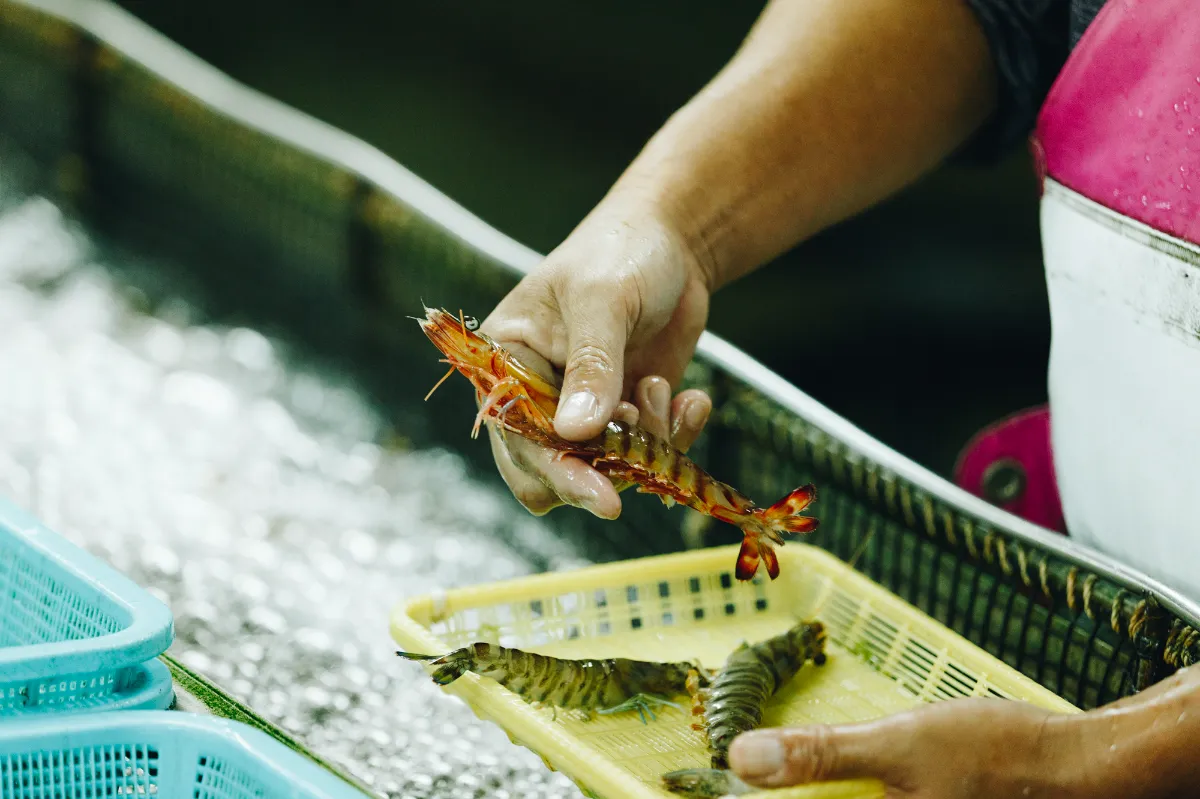 NIPPON LOCAL FOOD GIFT | 地域とつながる、おいしいおすそわけ。