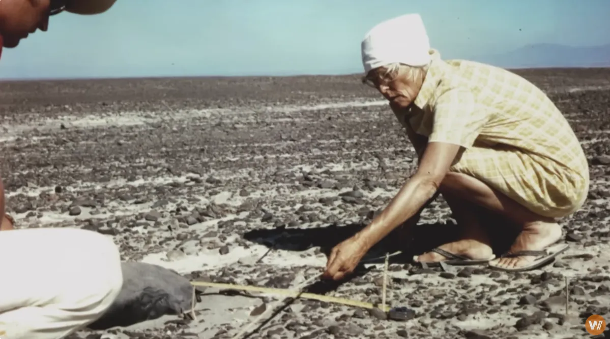 今も残る2,000年前の巨大アート！ナスカの地上絵の魅力を徹底解説。
