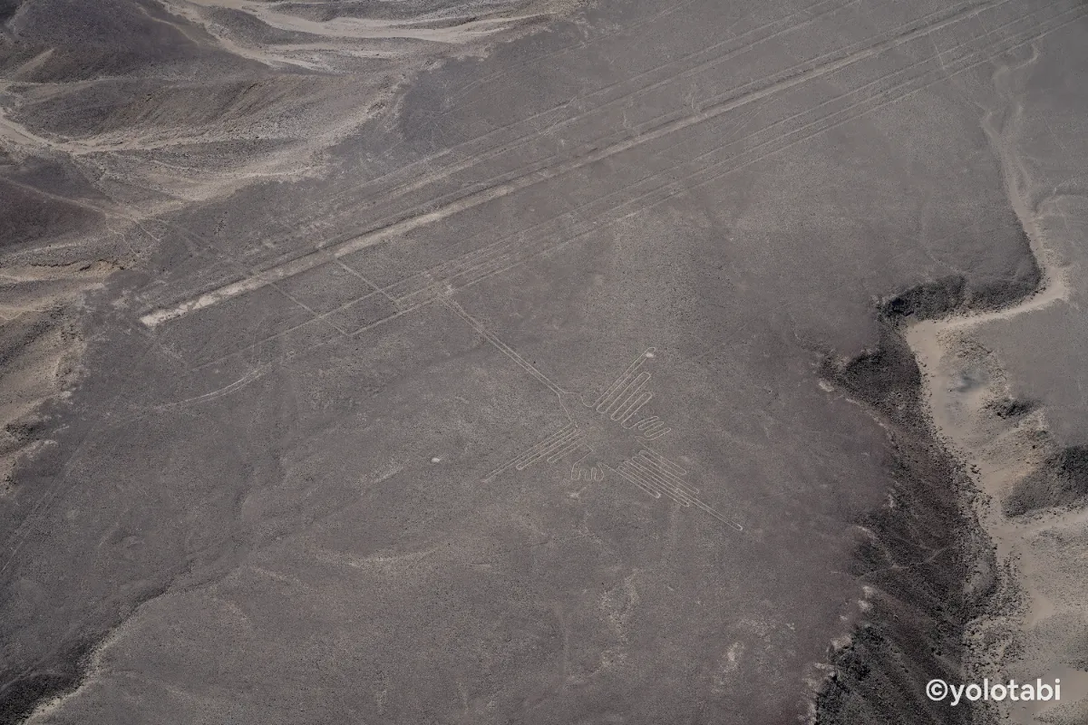 今も残る2,000年前の巨大アート！ナスカの地上絵の魅力を徹底解説。