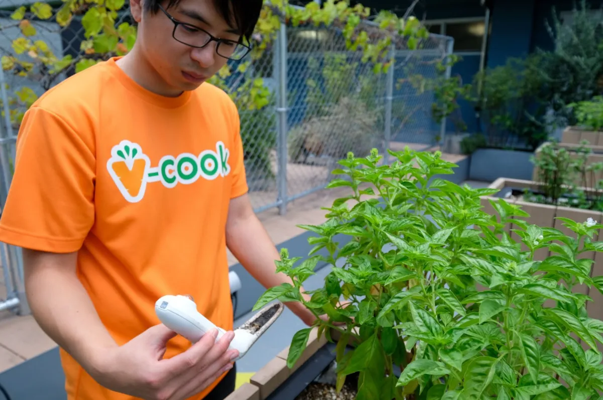 誰もがヴィーガンを安心して選択できる世界を、たのしく育む。 | grow