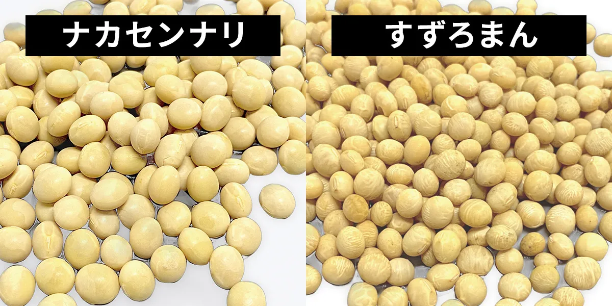 NAGANOの納豆の歴史 ｜NAGANO発酵の歴史｜発酵バレーNAGANO