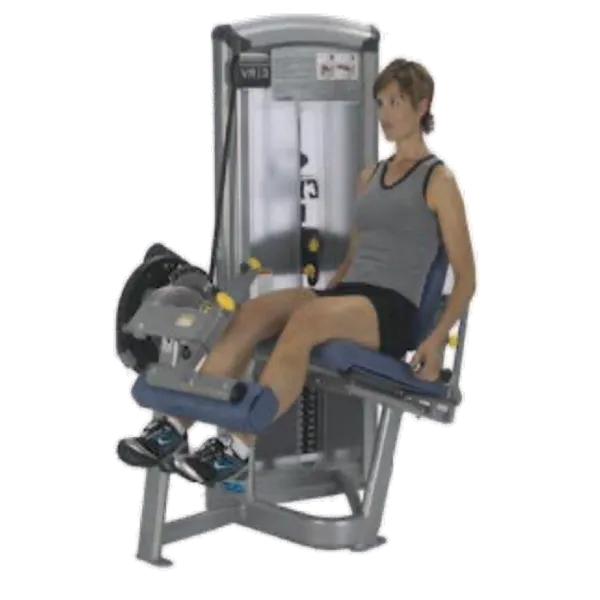 レッグエクステンション