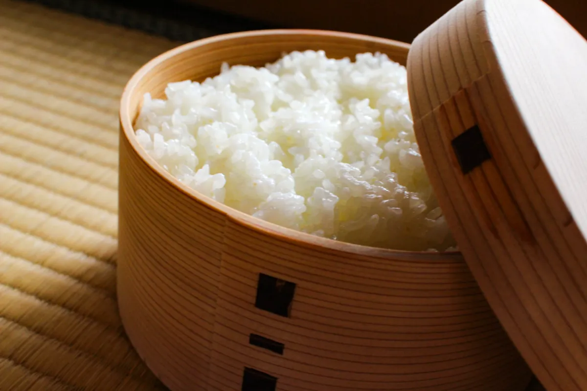 未使用品 わっぱ おひつ 白木 柴田慶信商店 ごはん 七寸(5合