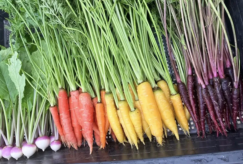 グリーンネクスト ｜The Olivea（ザ・オリビア）